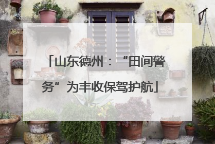 山东德州：“田间警务”为丰收保驾护航