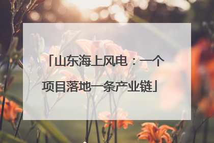 山东海上风电：一个项目落地一条产业链