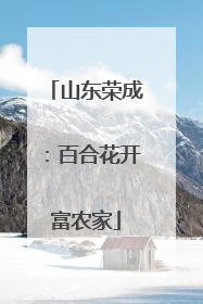 山东荣成：百合花开富农家