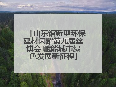 山东馆新型环保建材闪耀第九届丝博会 赋能城市绿色发展新征程