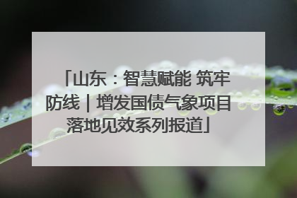 山东：智慧赋能 筑牢防线｜增发国债气象项目落地见效系列报道