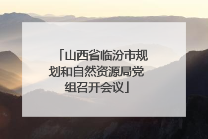 山西省临汾市规划和自然资源局党组召开会议