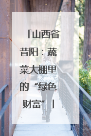 山西省昔阳：蔬菜大棚里的“绿色财富”
