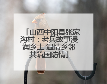 山西中阳县张家沟村：老兵故事浸润乡土 温情乡邻共筑国防情