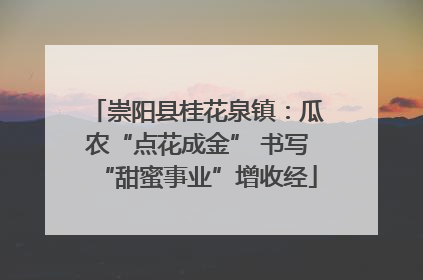 崇阳县桂花泉镇：瓜农“点花成金” 书写“甜蜜事业”增收经