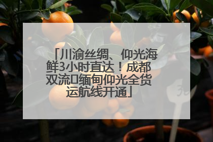 川渝丝绸、仰光海鲜3小时直达！成都双流⇌缅甸仰光全货运航线开通