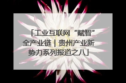 工业互联网“赋智”全产业链｜贵州产业新势力系列报道之八