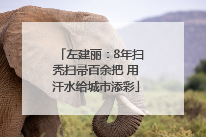 左建丽：8年扫秃扫帚百余把 用汗水给城市添彩