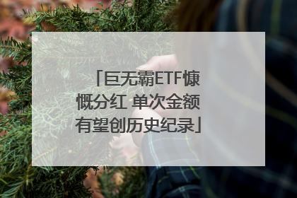 巨无霸ETF慷慨分红 单次金额有望创历史纪录