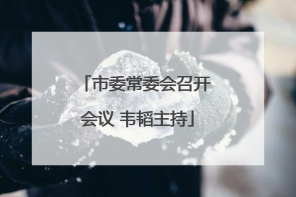 市委常委会召开会议 韦韬主持