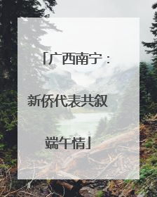 广西南宁：新侨代表共叙端午情