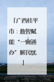 广西桂平市：数智赋能“一窗通办”解民忧