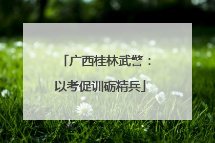 广西桂林武警：以考促训砺精兵
