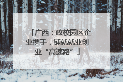广西：政校园区企业携手，铺就就业创业“高速路”