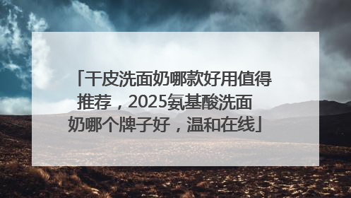 干皮洗面奶哪款好用值得推荐，2025氨基酸洗面奶哪个牌子好，温和在线