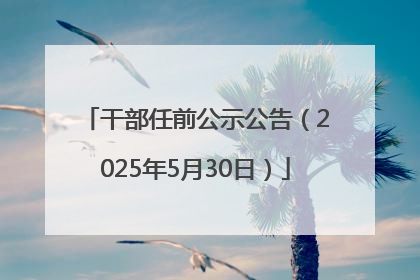 干部任前公示公告（2025年5月30日）