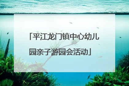 平江龙门镇中心幼儿园亲子游园会活动