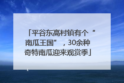 平谷东高村镇有个“南瓜王国”，30余种奇特南瓜迎来观赏季