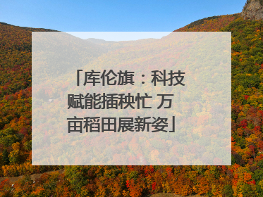 库伦旗：科技赋能插秧忙 万亩稻田展新姿