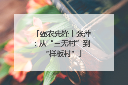 强农先锋丨张萍：从“三无村”到“样板村”