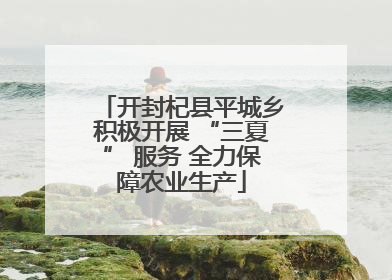 开封杞县平城乡积极开展 “三夏” 服务 全力保障农业生产