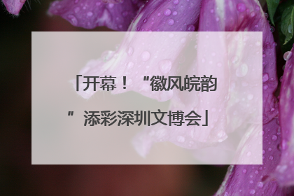 开幕！“徽风皖韵”添彩深圳文博会