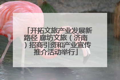 开拓文旅产业发展新路径 廊坊文旅（济南）招商引资和产业宣传推介活动举行