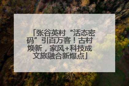 张谷英村“活态密码”引百万客！古村焕新，家风+科技成文旅融合新爆点