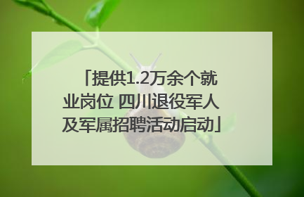 提供1.2万余个就业岗位 四川退役军人及军属招聘活动启动