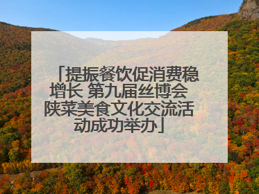 提振餐饮促消费稳增长 第九届丝博会陕菜美食文化交流活动成功举办