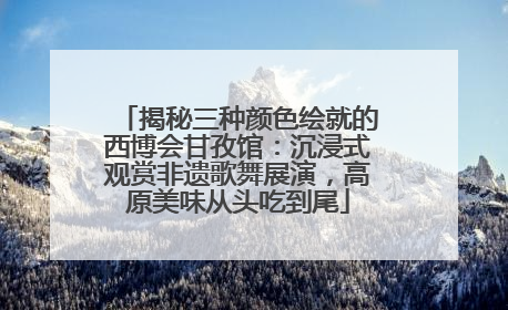 揭秘三种颜色绘就的西博会甘孜馆：沉浸式观赏非遗歌舞展演，高原美味从头吃到尾