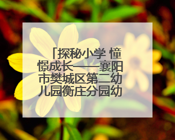 探秘小学 憧憬成长——襄阳市樊城区第二幼儿园衡庄分园幼小衔接班走进小学开展参观体验活动