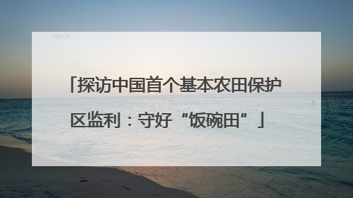 探访中国首个基本农田保护区监利：守好“饭碗田”