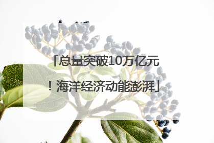 总量突破10万亿元！海洋经济动能澎湃