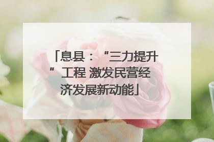 息县：“三力提升”工程 激发民营经济发展新动能