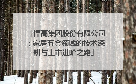 悍高集团股份有限公司：家居五金领域的技术深耕与上市进阶之路