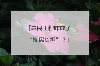 惠民工程咋成了“扰民负担”？