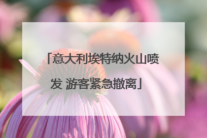 意大利埃特纳火山喷发 游客紧急撤离