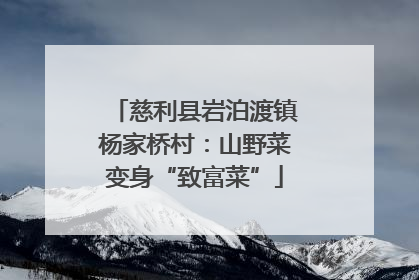 慈利县岩泊渡镇杨家桥村：山野菜变身“致富菜”