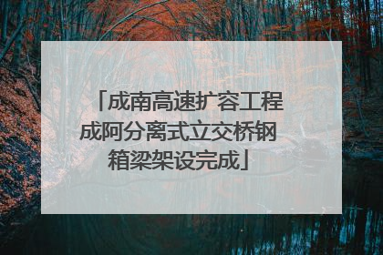 成南高速扩容工程成阿分离式立交桥钢箱梁架设完成