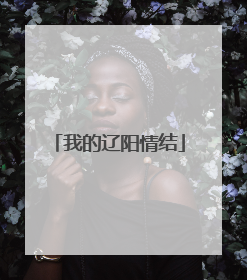 我的辽阳情结