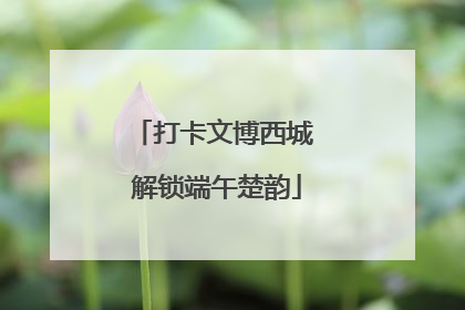 打卡文博西城 解锁端午楚韵