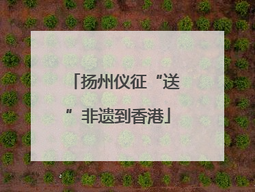 扬州仪征“送”非遗到香港