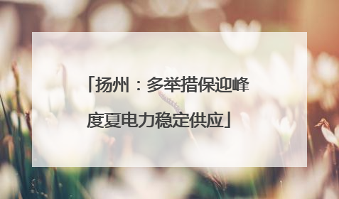 扬州：多举措保迎峰度夏电力稳定供应