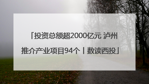 投资总额超2000亿元 泸州推介产业项目94个丨数读西投