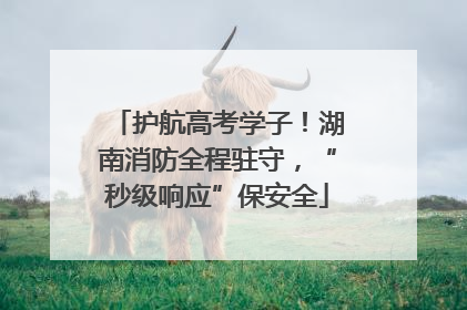 护航高考学子！湖南消防全程驻守，“秒级响应”保安全