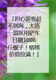 担心游客赶不到海，大连一景区用铲车日撒1000斤蚬子！情绪价值拉满！