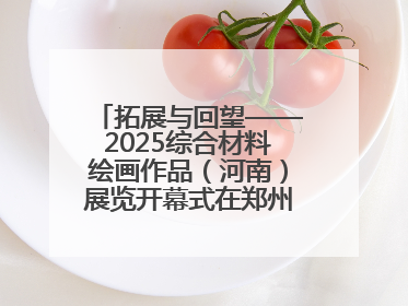 拓展与回望——2025综合材料绘画作品（河南）展览开幕式在郑州美术馆举办