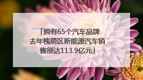 拥有65个汽车品牌 去年槐荫区新能源汽车销售额达113.9亿元