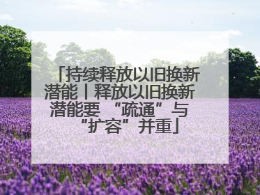 持续释放以旧换新潜能丨释放以旧换新潜能要 “疏通”与“扩容”并重